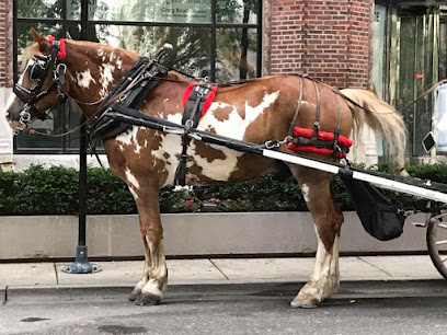 Antique Coach & Carriage Co.