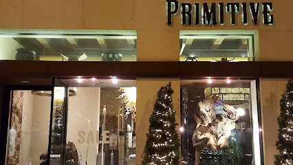 PRIMITIVE
