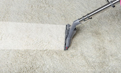 Chicago's Best Carpet & Upholstery Cleaning