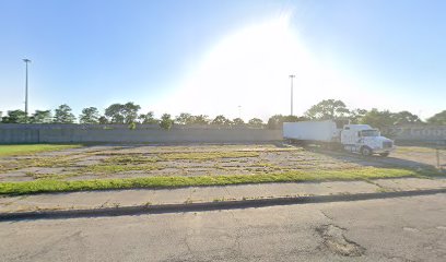 Finding Justice A Flower and Vegetable Garden