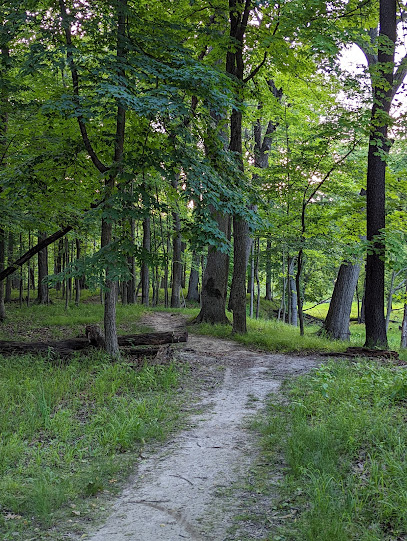 Schiller Woods-South