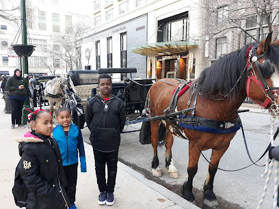 Chicago Horse & Carriage