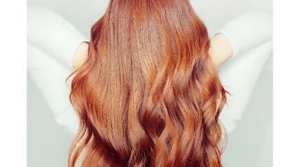 XEX Salon