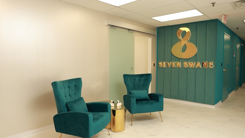 Seven Swans Clinic, Chicago