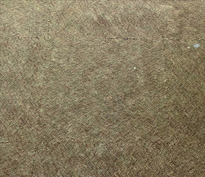 Oxi Fresh Carpet Cleaning