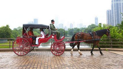 Noble Horse Carriages