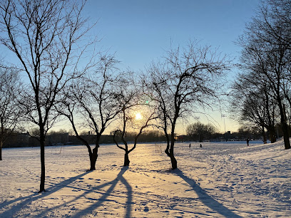 Sled Hill