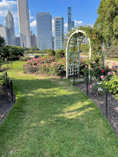 North Rose Garden