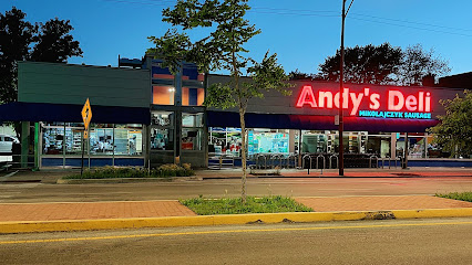 Andy's Deli & Mikolajczyk Sausage Shop Inc