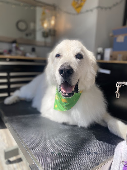 Buds. N' Suds Dog Grooming