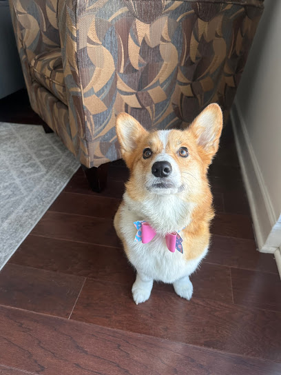 Groomies