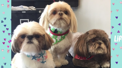 Monica's Superior K-9's