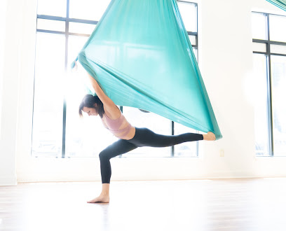 AIR® Aerial Fitness - Lakeview