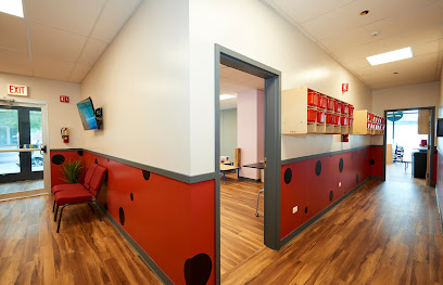 Ladybug and Friends Daycare & Preschool