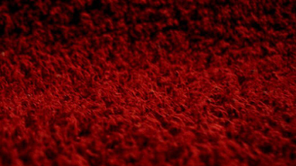 Best Carpet Incorporation