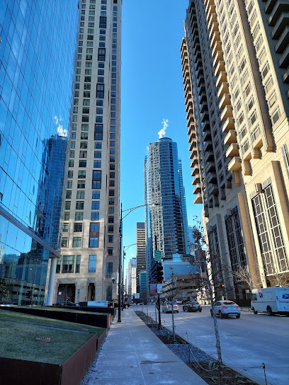 540 N Lakeshore Dr Condo