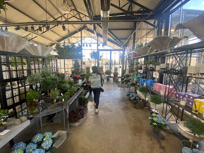 City Escape Garden Center and Design Studio