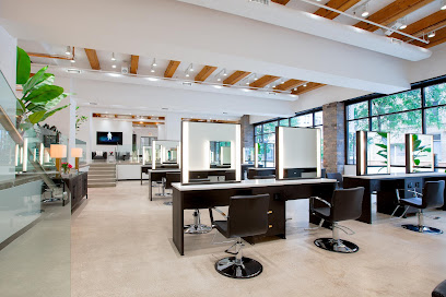 Arsova Salon