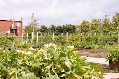 Legends Farm