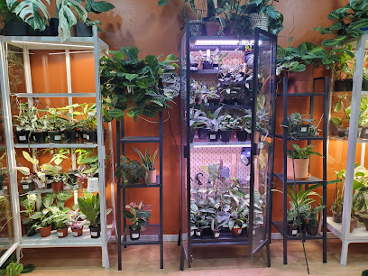 Chica Plant Shop