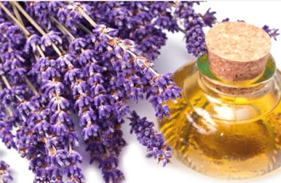 Medical Massage Therapist Office of Tamekia J. Baker