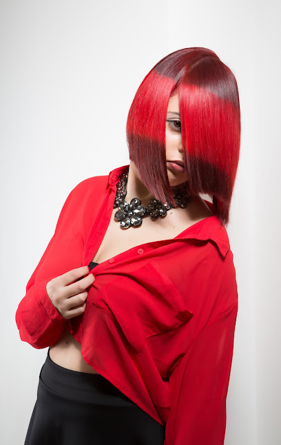 KSTYLESWIGS SIGNATURE COLLECTION
