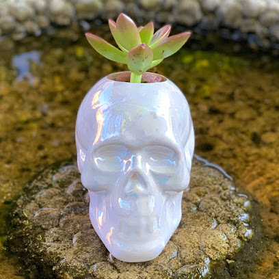 Chicago Plant House