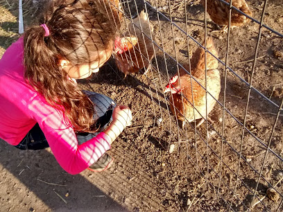 Garden Patch Farms
