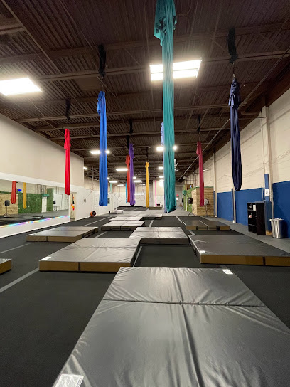 Chicago Aerial Arts