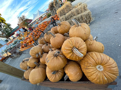 Windy Acres Farm