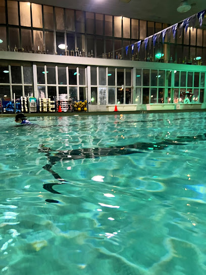 Welles Park Pool (Indoor)