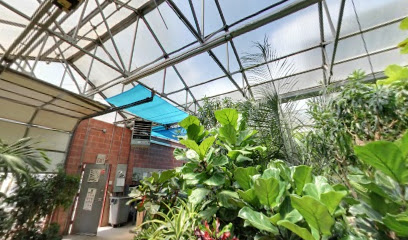 plants inc