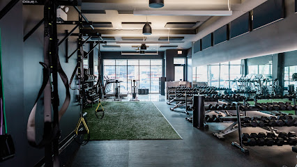 Body High Fitness