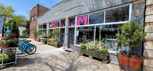 CHICAGO BLOOM