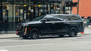 Royal Limo Services - Chicago Executive Limo Service -Chauffeur Service