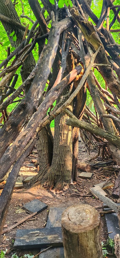 Walking Stick Woods Natural Area
